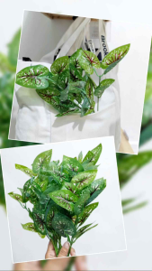 Daun Keladi AL08: Dekorasi Rumah Kafe Kantor dengan Hiasan Artificial Tanaman Plastik