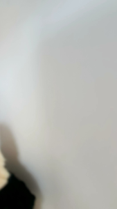 Fox- Labubu Dress/ Baju Labubu Black swan