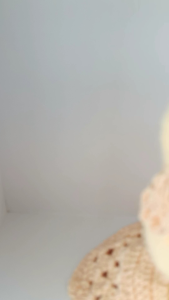 Fox-Labubu Dress Ball Gown