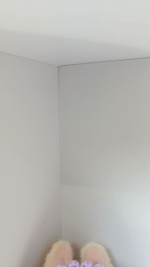 Fox - Labubu Ladies Wear/ Baju Labubu