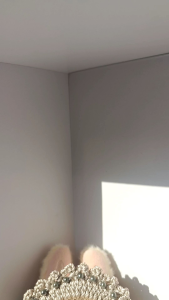 Fox - Labubu Outfit Ladies Queen B