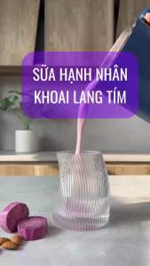 [CHÍNH HÃNG] Máy Làm Sữa Hạt Mini DINGO DCB600 Dung Tích 600ML - Thương Hiệu Mỹ