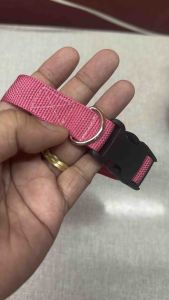 Dogs Collars Pet Small Dogs Collars Color Foam High Quality Pet Collars Adjustable