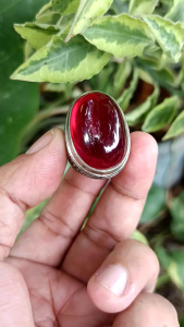 Cincin Permata Merah Siam Bangkok Top Quality