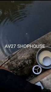 Essen Pancing & Essen Ikan: Panduan Lengkap