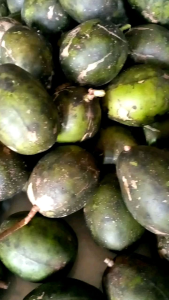kedondong segar 1kg