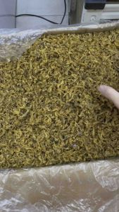 [100G] 鲍鱼边 Abalone Edge/ Abalone Side (AA)