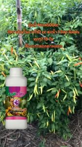 อาดีร์อะโกร อาหารเสริมสำหรับพืชทุกชนิด ปุ๋ยน้ำ