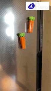 5pcs Carrot Food Sealing Clips Storage Clips Magnetic Box[READY STOCK]