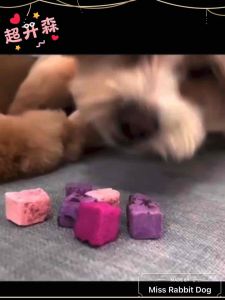 Freeze Dried Yogurt Fruits Cube Pet Treats Pet Snack Cat treat Dog hamster Snack makannan kuching 宠物零食水果冻干酸奶块50g狗狗猫咪仓鼠