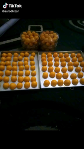 Nastar selai nanas madu 500gr