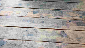 Celana Dalam Wanita TALENT & Chaoji Isi 3 Pcs | CD Perempuan Termurah & Terlaris