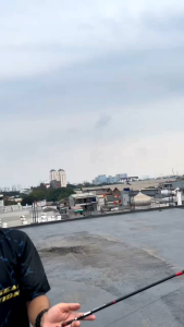 Joran TORNADO JAWS JIG 632 Light Jigging Solid Carbon