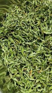 ผักแพว  ผักไผ่  ผักแพวแห้ง ขนาด 5 กรัม