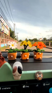 ดอกไม้กำมะหยี่เด้งดึ๋ง🌼ตั้งหน้ารถ หรือตั้งโต๊ะต่างๆได้ น่ารักมินิมอล สินค้าน่ารัก