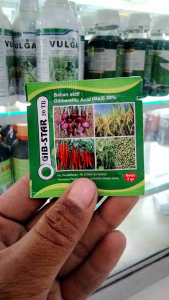 GIB STAR 20 TB (Gibberellic Acid (Ga3) 20%) 5gr