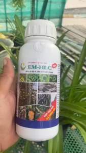 CHẾ PHẨM EM HLC ĐẶC TR.j TUYẾN TRÙNG - ĐẶC TR.j VÀNG LÁ THỐI RỄ PHÒNG TRỪ TUYẾN TRÙNG RỄ HẠI CÂY TRỒNG - CHAI 500ML