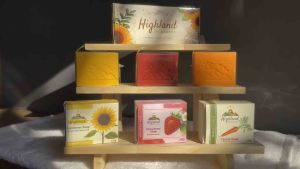 Strawberry Soap with Alpha Arbutin - Skin Lightening Hyperpigmentation Reduction Antioxidant & Gentle Cleansing