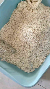Pasir Kucing Toufu Cat Litters 6L Great A