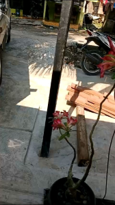 Knalpot Suos Ngorok Mobil Bensin: Modifikasi & Aksesoris