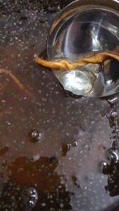 Mủ Trôm Hạt Chia Uống Liền Thanh Mát Túi Zip/Hủ 400Gr