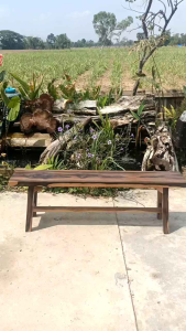 KDAUZ ม้านั่งไม้รกฟ้าแผ่นเดียว ม้านั่งสนาม ม้านั่งยาว ม้านั่งไม้ เก้าอี้ไม้ เก้าอี้ยาว ม้านั่งกลางแจ้ง เก้าอี้สนาม Bench Chair Wood