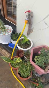 Bộ vòi rửa xe ô tô và xe máy tại nhà