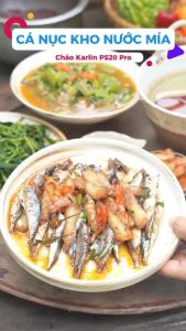 [CHÍNH HÃNG] Chảo Inox Sâu Lòng KARLIN PS20 PRO Đáy 5 Lớp - Inox 316 - Size 20cm - Thương Hiệu Đức 🇩🇪