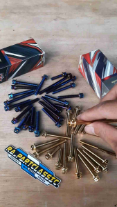 Baut Probolt Blok Bak Kalter Import Kiri Kanan Biru Gold PNP CB GL Megapro Tiger