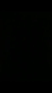 ช่อดอกไม้ทรงผีเสื้อ สำหรับใส่ธนบัตร 10 ใบ