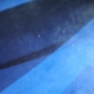 25lembar kotak kebab ivory gambar