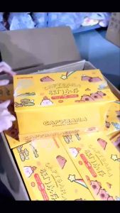 Băng Xoá Kéo Bút Xoá Kéo CAPYBARA 6M/36M Đáng Yêu