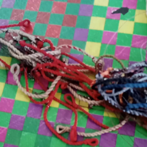 Tali Perkutut Lokal 100 Persen: Keunggulan & Rekomendasi