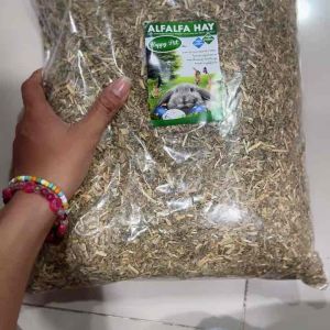 หญ้ากระต่าย หญ้าอัลฟาฟ่า อาหารกระต่าย ขนาด 1 กิโลกรัม(พรีเมี่ยม)