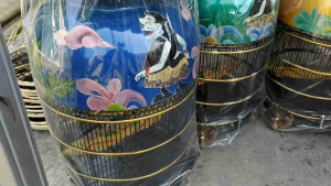 SANGKAR BURUNG MAHKOTA MERAK PIBER TERBAIK KANDANG BURUNG PERKUTUT MOTIF SEMAR- LOKAL CIANJUR