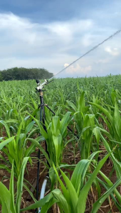 Paket Sprinkler Big Gun Lumo Komplit Pompa Pemadam 9 HP Siap Pakai