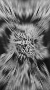 Baju Kaos Gaul TENGKORAK NUNDUK RUBHK8370