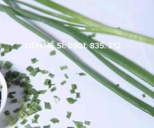 Hành Lá Sấy Lạnh lá gia vị sấy khô ( Green Onion ) loại 1