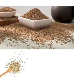 Hạt Thì Là Ấn Độ ( Cumin Whole )