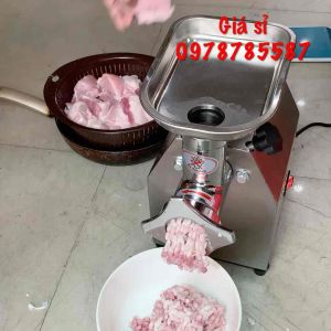 Máy Xay Thịt Công Nghiệp 12