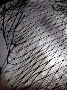 Jaring Pagar Ayam & Bebek 1m x 44m: Penggunaan dan Kelebihannya