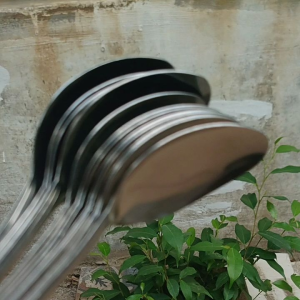 Setenlis Sendok Makan 12 Pcs: Murah Meriah & Praktis