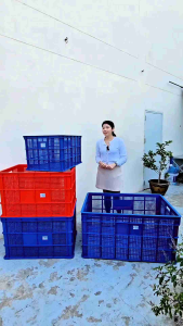 ตะกร้าพัสดุ 3 ไซส์ ตะกร้าขนส่งใบใหญ่ แบรนด์ LWNLife ผลิตจากพลาสติก หนา แข็งแรง มีรับประกันสินค้า