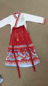 READY STOCK Kids Children Ancient Chinese Han Tang Traditional Costume Pakaian Tradisi Cina 男女童中国装汉服唐装马面服hanfu