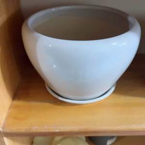 Egg Shaped Glazed Clay Ceramic Desk Pot with Catch Plate/Saucer - Pots for Plants