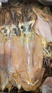 阿根廷 鱿鱼 Argentina  Dried Squid (1pcs/1片)