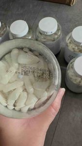 MyProtein Creapure Micronised Creatine 245 Capsules - EXP 11/2027-03/2028