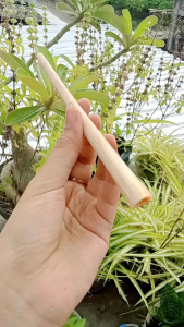 Once pipa sedotan moncong marlino model bulat lentik F65
