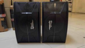 Speaker Pasif Black Spider 10 Inch 1 set speaker karaoke CS450 blackspider