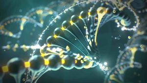 Amino Pro โปรตีน เสริมสำหรับเด็กกำลังเติบโต และ ผู้ป่วยระยะพักฟื้น